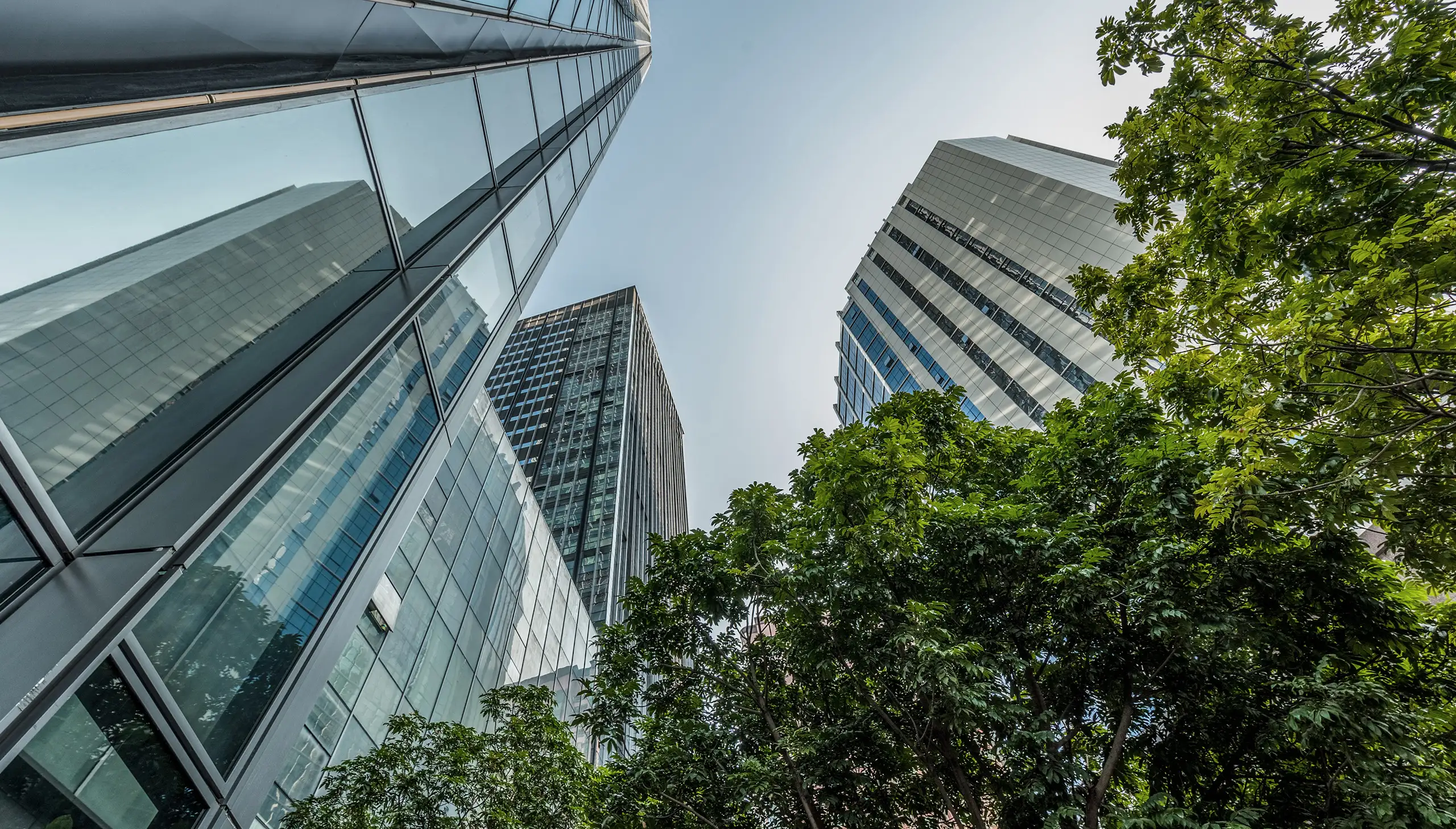 Office biuldings mixed with trees